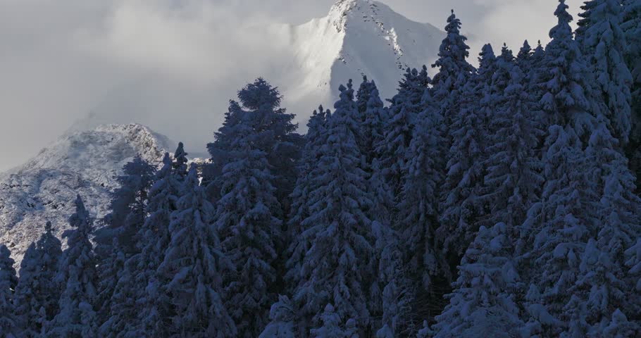 Aerial footage of snowy alpine peaks in Austria with a glacier rising through morning mist. Blue sky, sunlight, and conifer forests in the foreground create a peaceful winter atmosphere.