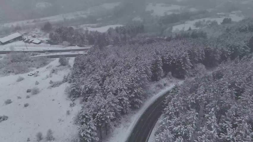 Drone shot of snow-covered pine forest with a road passing through in winter mountains