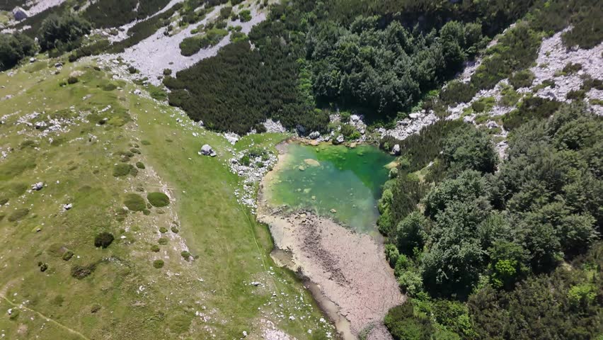 Scenic view of Lake surrounded by pine forest in Durmitor National Park