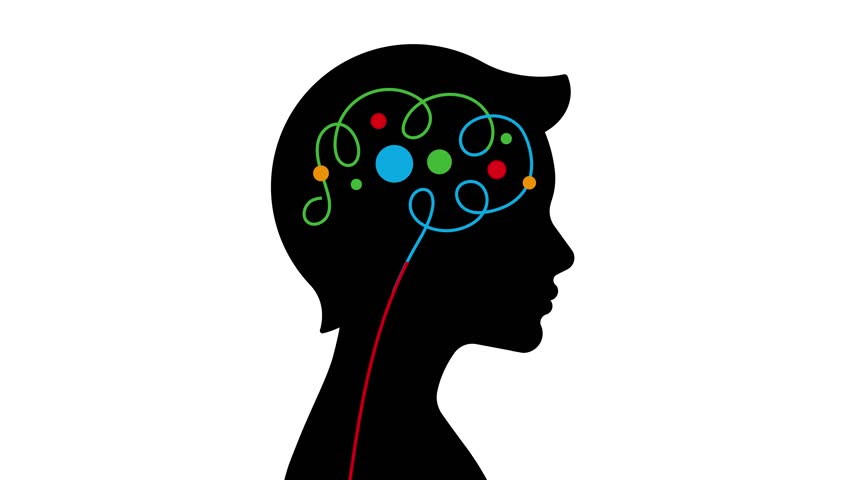 Toddler brain, animated illustration. Process inside boy head silhouette. 4K video, white background.