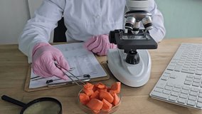 Observing carrot samples under a microscope in a lab setting for food analysis and study - Powered by Shutterstock - Get 15% off with code: PIKWIZARD15