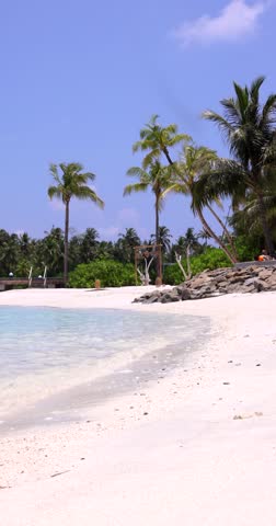 Tall palm trees on a white sand beach on a tropical island in Maldives 