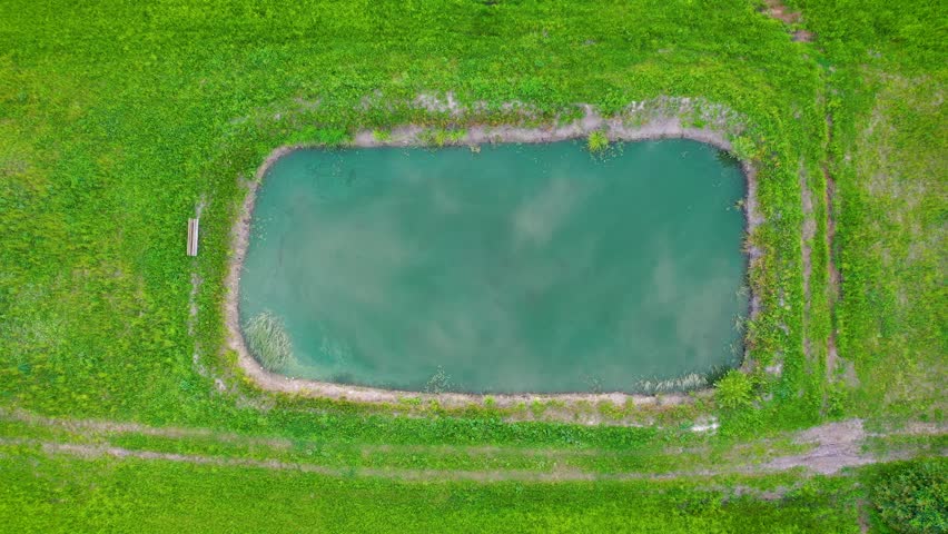 High angle view of small pond on a pasturage in Mazowsze region of Poland