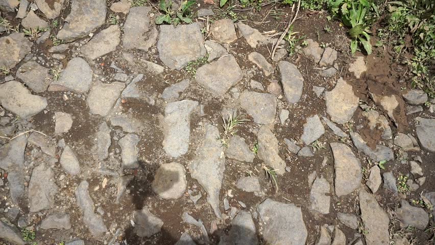 Rocky road surface with natural texture and rural atmosphere.