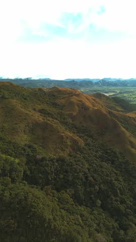 A lush green hillside with trees and a clear blue sky