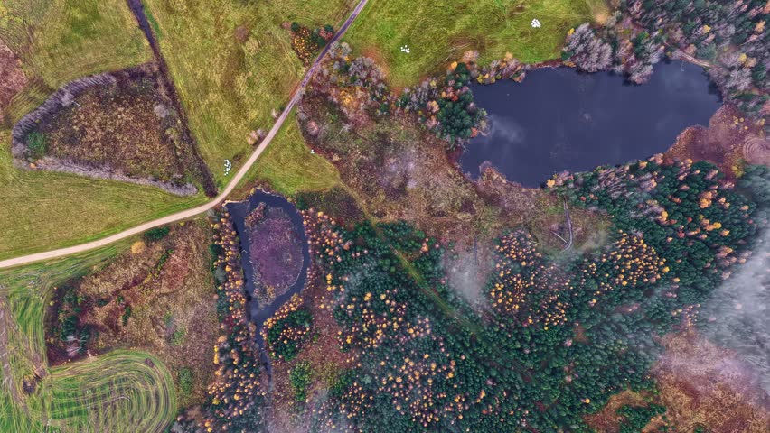 Aerial static view of pond marshland as morning clouds drift slowly across reflective wetlands