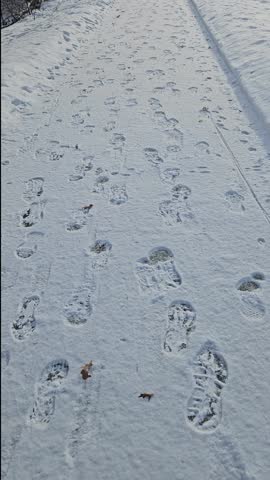 first person POV video along a snow-covered trail, where shoe and boot footprints define a visible route ahead. Conveys ideas of winter travel, cold conditions, outdoor fitness, and natural pathways.