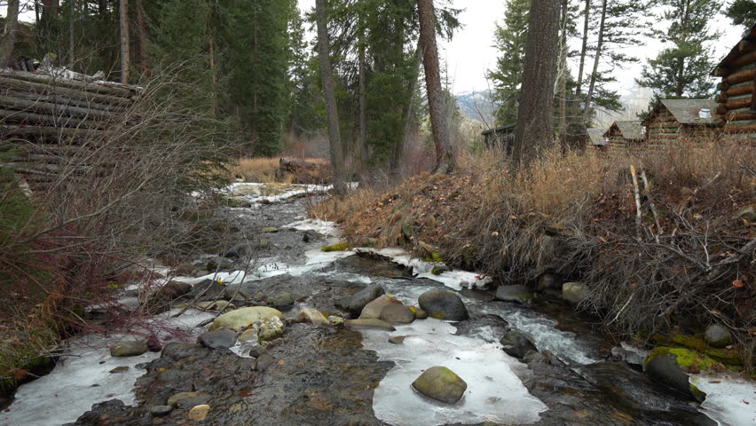 Frozen creek flowing downstream through National Forest Land