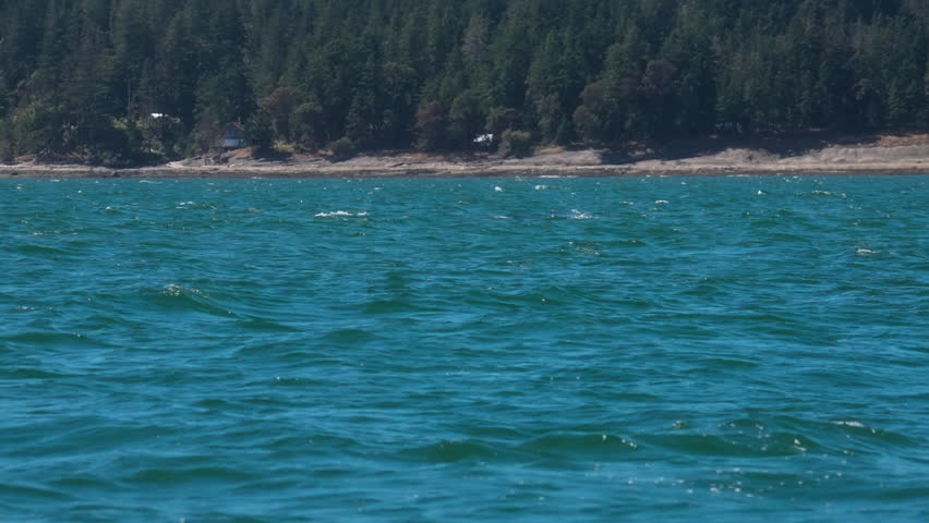 Humpback whale spray breathing in the pacific ocean. Slow motion.