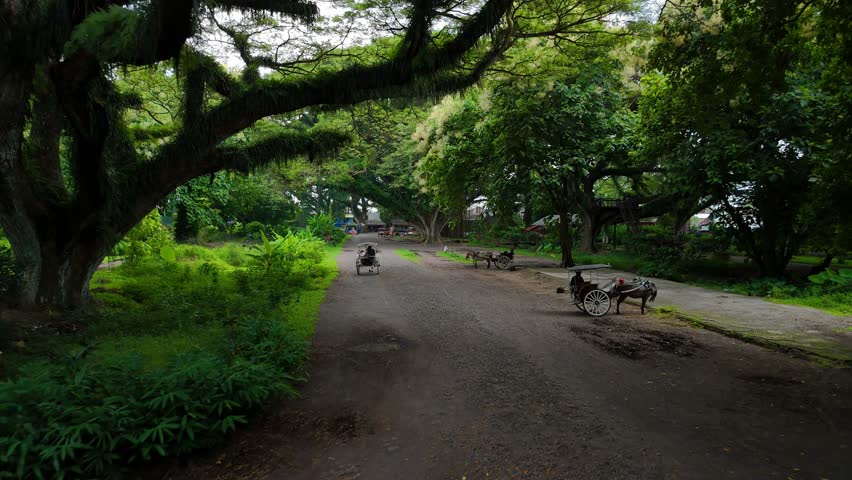 Rustic horse-drawn carriage journey through enchanted forest