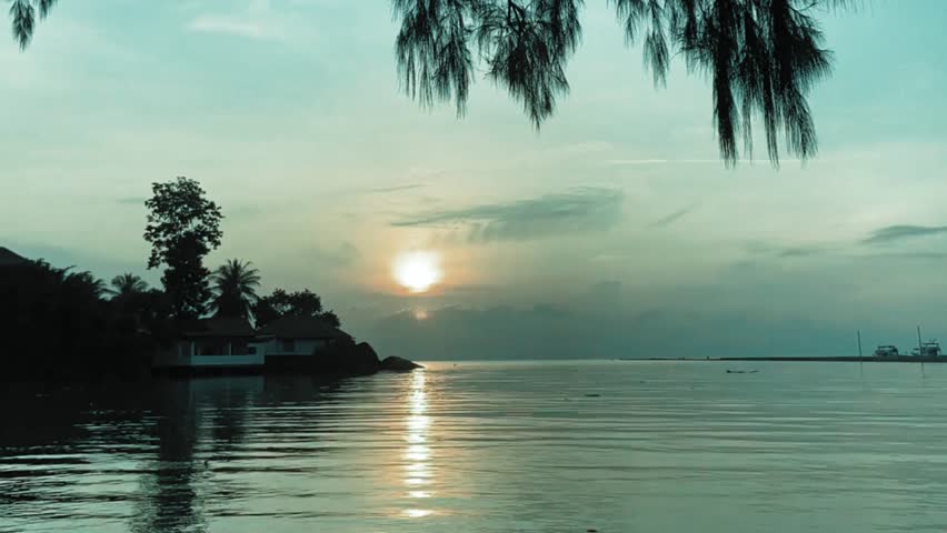 Silhouette of Wild Grass Against a Serene Pink Sunset Sky