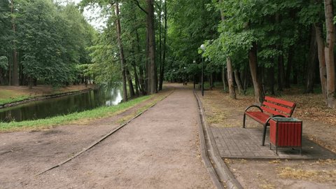 Drone Flying Low Forward along Park Path