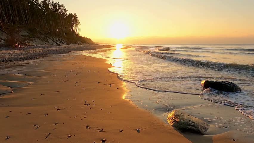 Beautiful Golden Sunset Over a Calm Sandy Beach with Forest Background