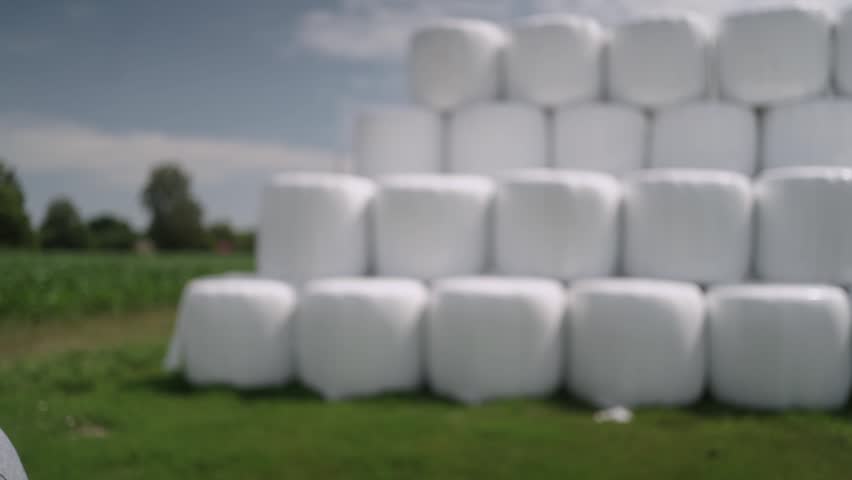Wrapped Silage Bales Stacked on Green Field in Countryside