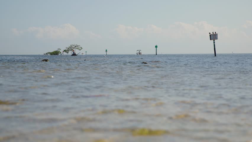 Shot of signs, boat and tree in the ocean near BlackPoint at Biscayne National Park, Florida. Calm waters and clear skies make this ideal for marine, boating, or nautical projects.