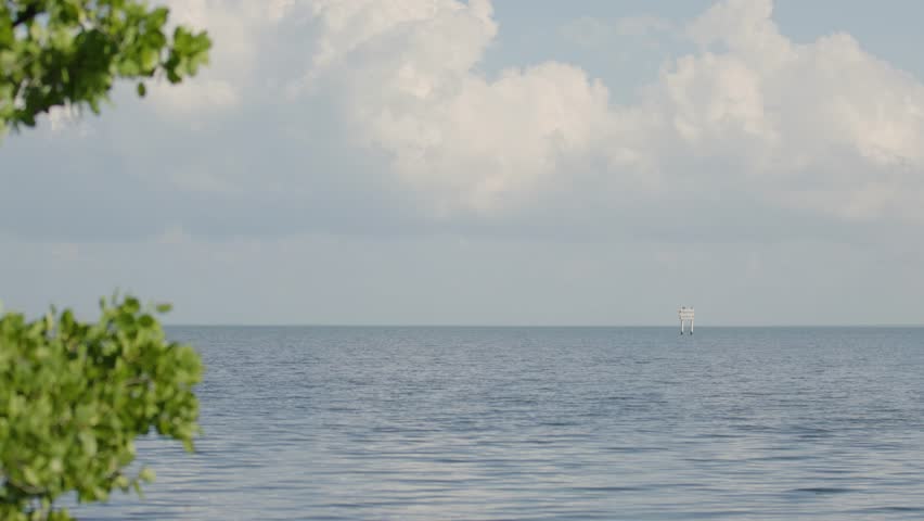 Rack focus shot of a navigational sign in ocean with tree in foreground at Biscayne National Park, Florida. Calm waters and clear skies make this ideal for marine, boating, or nautical projects.