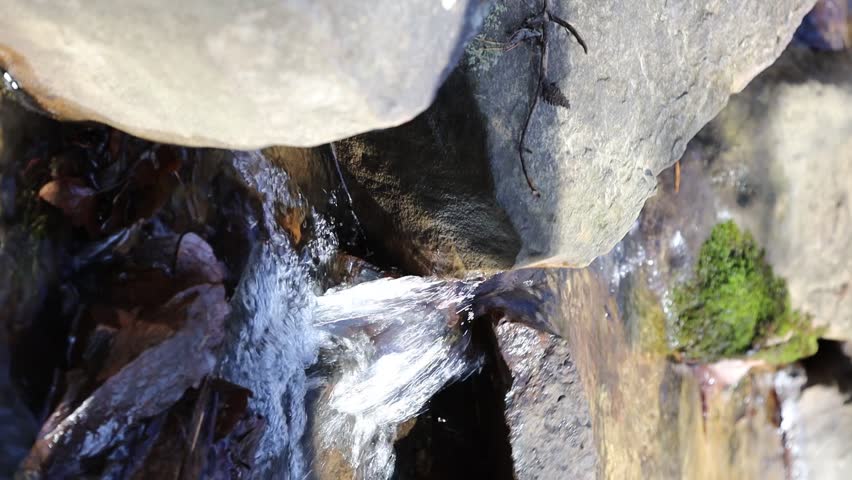 small stream waterfall with trees and moss