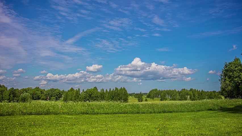 Vibrant green meadow under bright blue summer sky with moving clouds