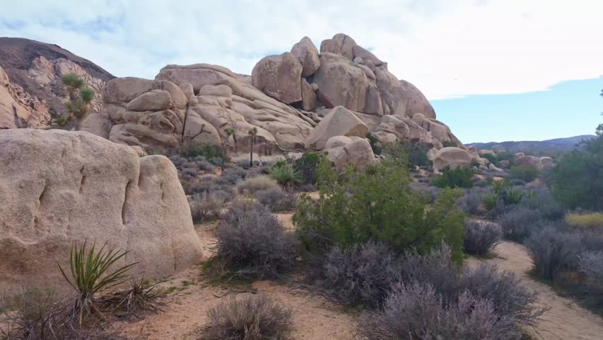 Popular rock formation area featuring narrow slot canyons scrambling routes and bouldering access in Joshua Tree National Park California