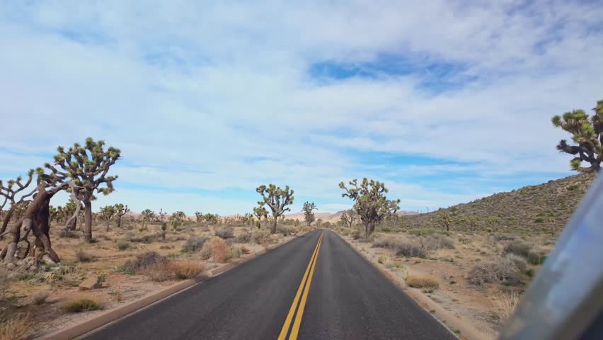 Scenic road drive through Joshua Tree National Park showcasing desert landscapes and iconic Joshua trees in California