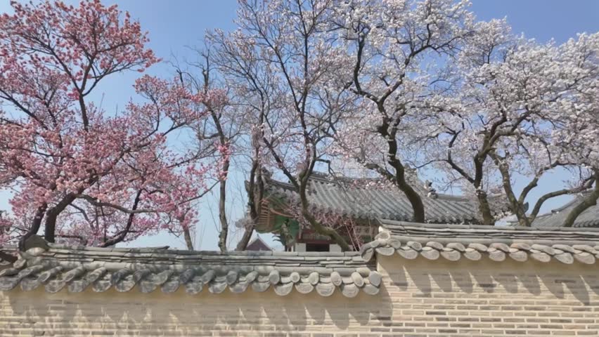 Seoul Korea Changdeokgung Palace landscape video