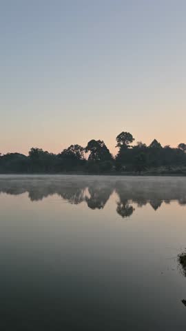 Morning mist rising over calm lake water with tree reflection at sunrise.Vertical