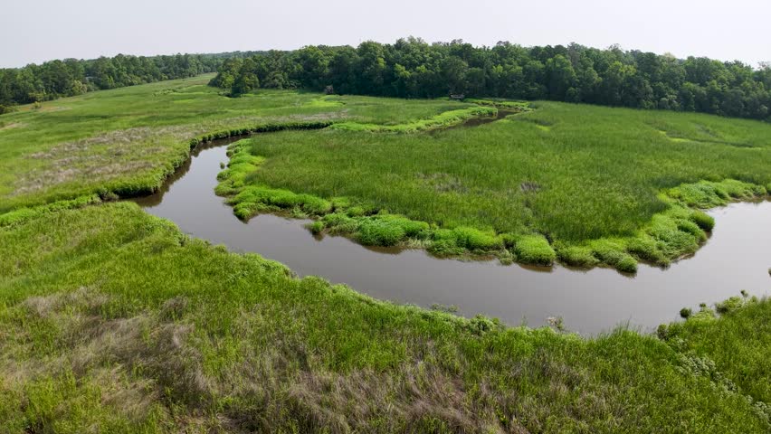 Drone footage of Middleton Place Plantation showcases a winding waterway meandering through lush green marshlands and meadows with distant forested banks near Charleston, South Carolina.