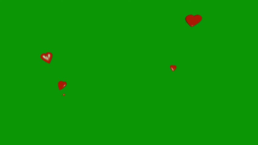 Red hearts flying and rising upwards on green screen background for valentines day concept