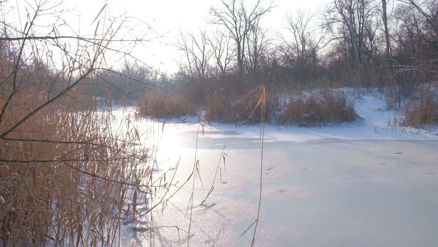 A beautiful view of a freezing river or lake surrounded by snowy trees in a winter park. Calm nature scene during cold misty weather. Professional 4K 30fps footage. Winter forest lake with snow covered trees landscape