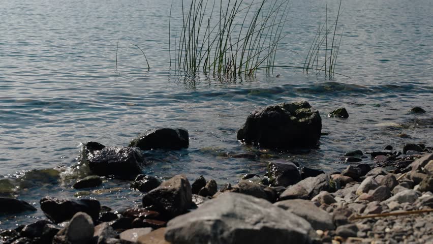 Gentle waves move across rocky Lake Atitlan shore with reeds