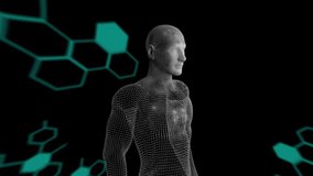 Animation of diverse data processing over human model on black digital background. science, human biology, technology and digital interface concept digitally generated video. - Powered by Shutterstock - Get 15% off with code: PIKWIZARD15