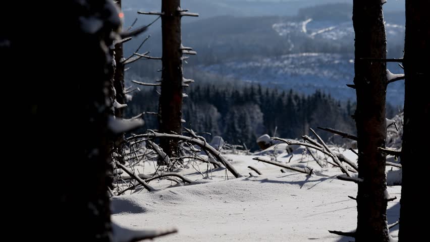 beatiful nature in winter 4k 25fps video