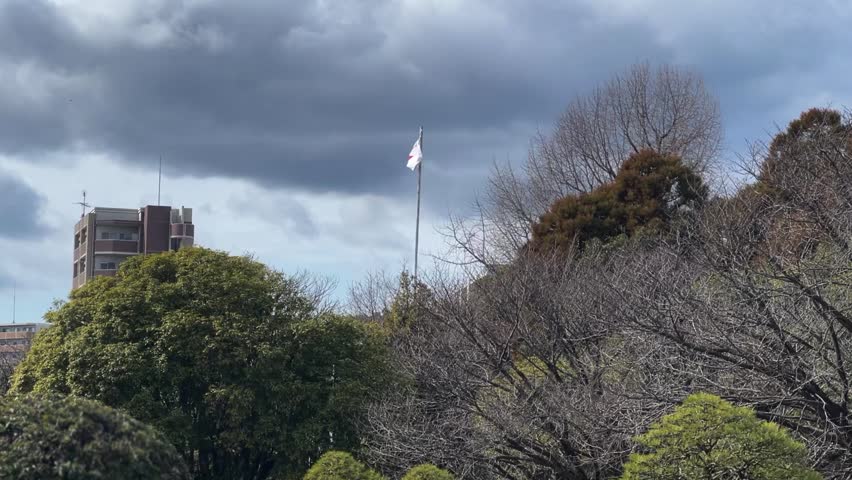 Japan Flag Fluttering Above Trees