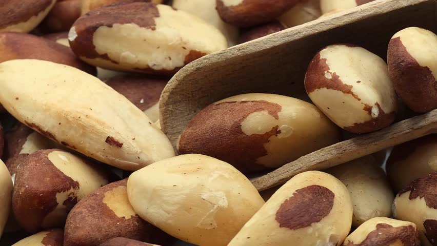 Fresh organic brazil nuts in wooden scoop rotating slowly