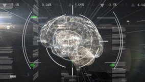 Animation of human brain, scope scanning and scientific data processing. Global science, networks, computing and data processing concept digitally generated video. - Powered by Shutterstock - Get 15% off with code: PIKWIZARD15