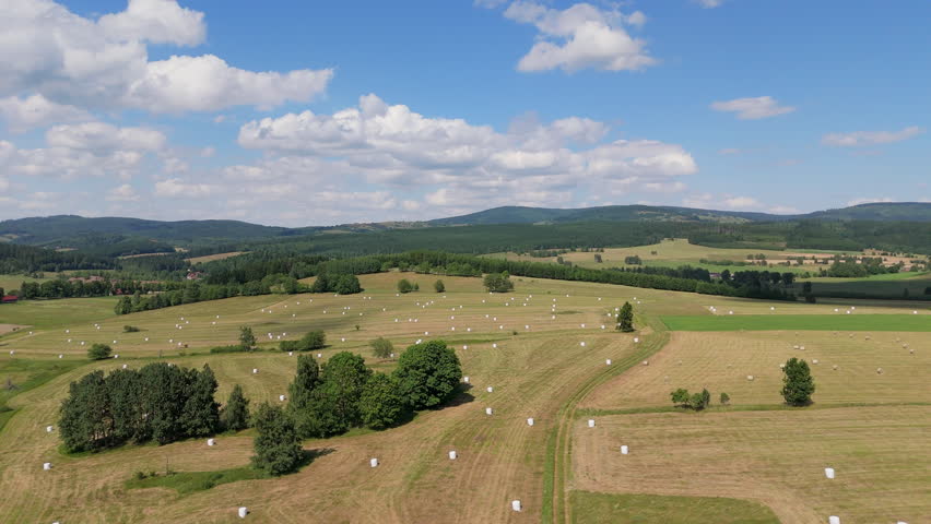 Landscape with rolling hills and white bales under a blue sky in summer