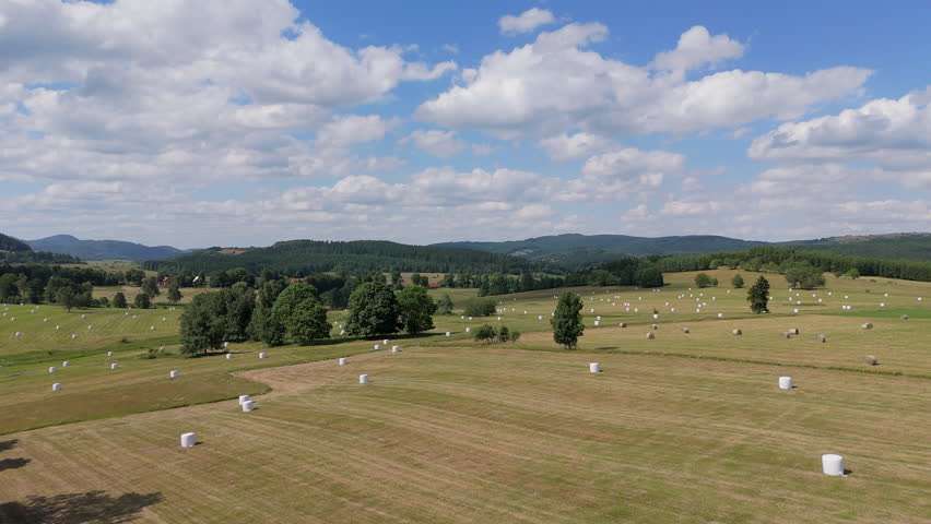Hay bales in a field during a sunny day in the countryside