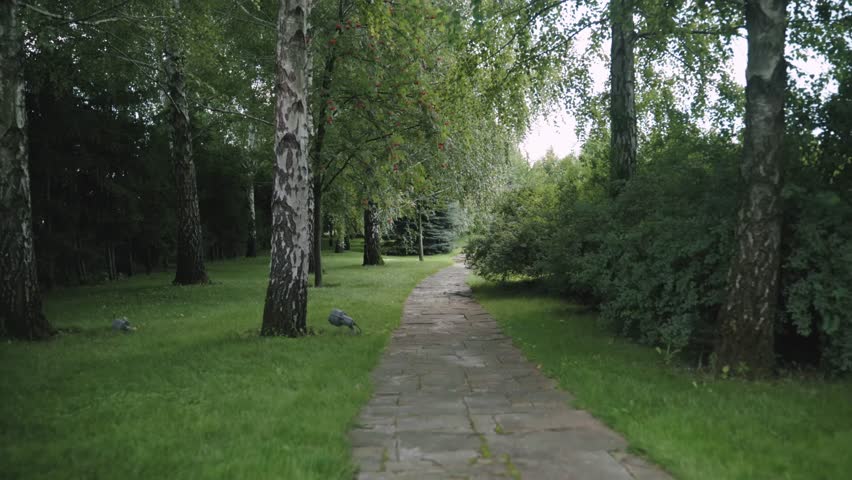 Forward moving camera along natural stone pathway in lush green park, cinematic walking motion through landscaped garden, peaceful outdoor scenery with trees and grass, tranquil nature background