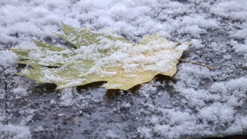 An autumn leaf lies alone on a wooden board covered in snow during a snowfall.