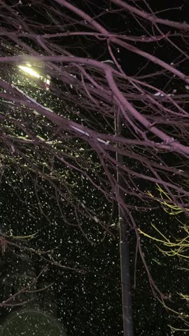 Evening street in winter. It