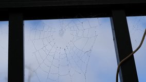 Video with sound! Spider cobweb covered in dew on a cloudy morning against blue sky. A close-up view of a spider cobweb adorned with sparkling dew droplets.
Moisture highlights the fine geometry of the web as it shifts in the breeze.
Soft light and overcast skies create a calm, moody tone.
Perfect for nature, mindfulness, and atmospheric background footage. Florida, January 4, 2026 - Powered by Shutterstock - Get 15% off with code: PIKWIZARD15