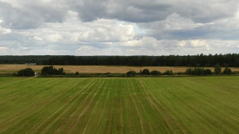 Drone Moving Forward above Agricultural Field
