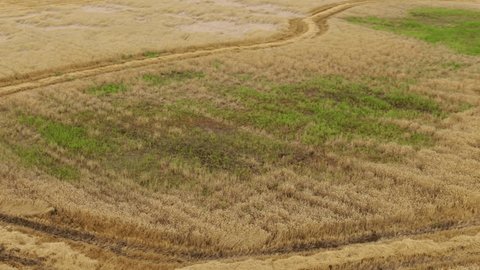 Fast Drone Circling above Harvested Field