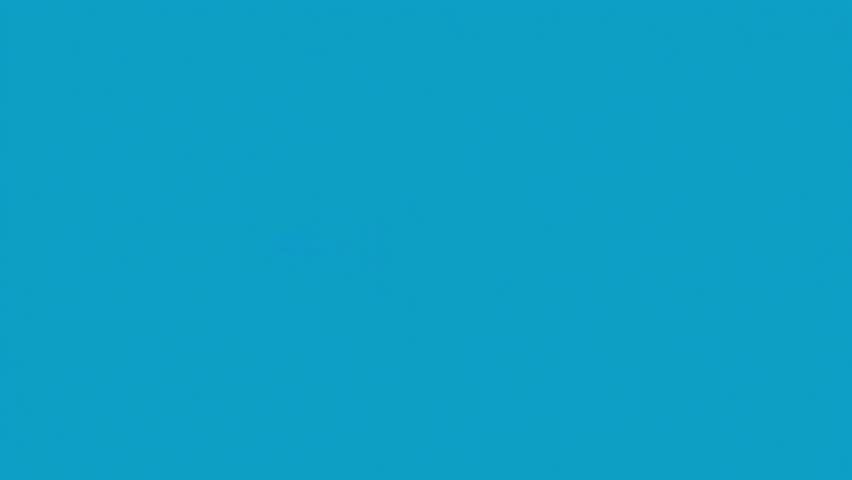 Waveform Audio sound waves Flat 2D vector outline illustration animation