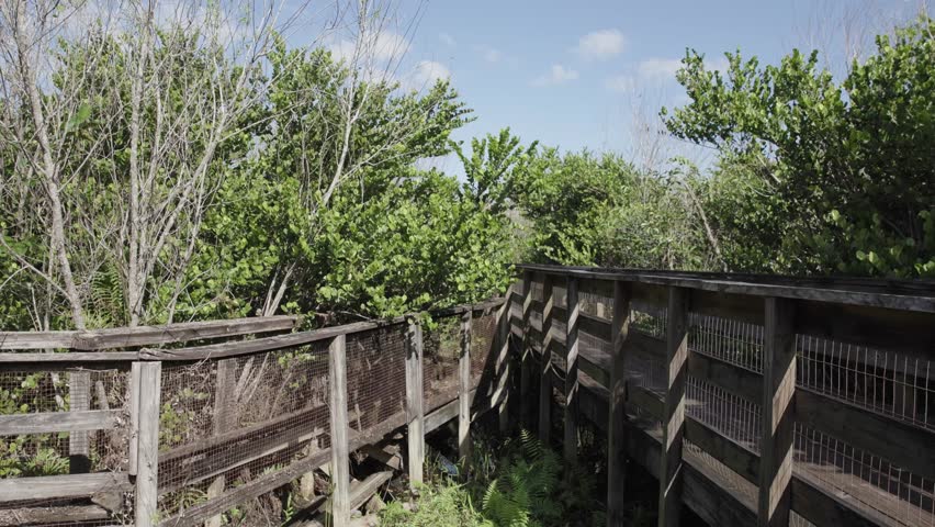 a wooden boardwalk walkway in the Florida Everglades. Scenic wetland pathway surrounded by nature, ideal for travel, conservation, and outdoor storytelling.