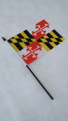 Maryland state flag on white background. Vertical shot.