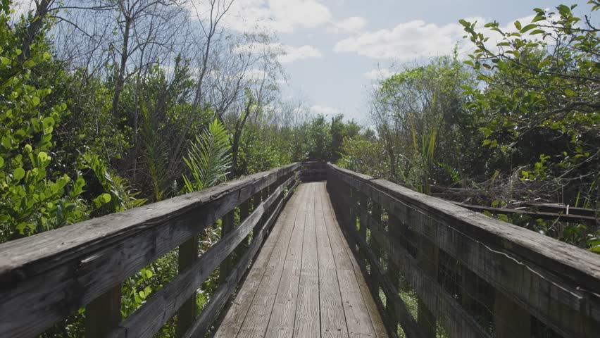 Slo Mo Wooden boardwalk walkway in the Florida Everglades. Scenic wetland pathway surrounded by nature, ideal for travel, conservation, and outdoor storytelling.