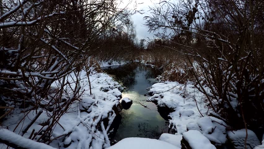 Narrow Small River Flowing Through Winter Forest With Snow Covered Banks. Frozen Riverside. Solitary Journey Deep Forest. Remote Waterway In Coniferous Woods. Quiet Wilderness Exploration River Winter