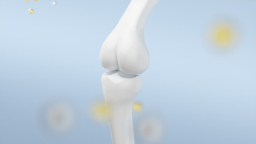 Human bone with calcium and vitamins that are absorbed to strengthen the bone.