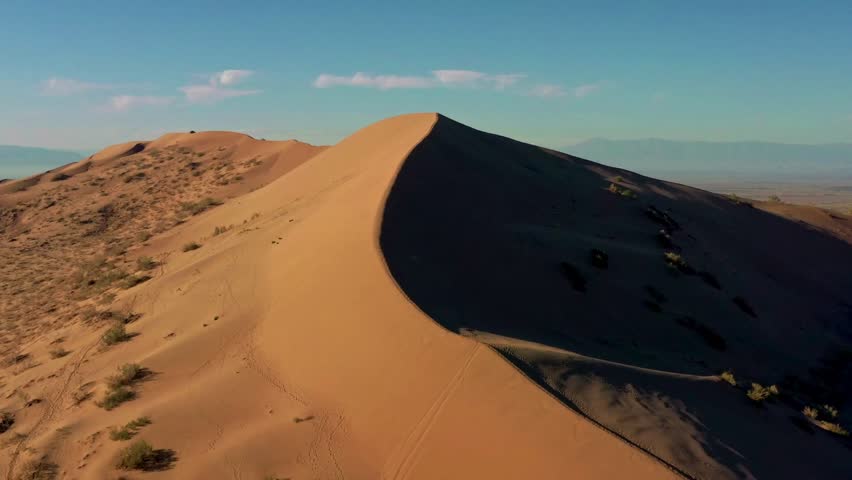 Vast golden sand dunes stretch across a wide desert landscape, showcasing undulating curves and shadows, with distant mountains and greenery in the background.